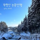 장성 축령산 (옥외5) | 주차장부터 눈꽃 가득했던 축령산 겨울산행 ㅣ우리만 걷는 조용한 눈길 코스