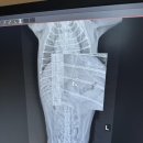 영등포아크로 동물병원 이미지