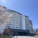 아일랜드테라피 | [충남 태안] 충남 태안 리솜 아일랜드 후기