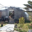 솔뫼농장 이미지