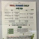 레알스크린골프 이미지