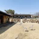 파베뉴(Pavenue) 이미지