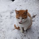 해피데이 이미지