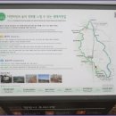 수원팔색길 매실길 이미지