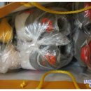 베스트 크린 세탁 이미지