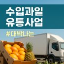 🍍 수입과일 유통사업, 제대로 하면 대박 납니다!