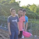 상옥농장 이미지