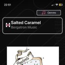 47. salted caramel - Bergatron music 이미지