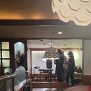 강남-172 | 압구정 매콤한 음식 추천 오징어불고기 웨이팅 맛집 뱃고동