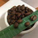 다마소프트 이미지