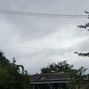 레드폭스 민박 이미지