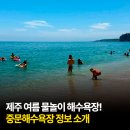 월평1천 | 제주 여름 물놀이 해수욕장! 중문해수욕장 정보 소개