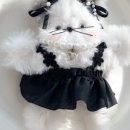플레르채 이미지