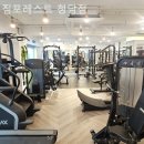 짐포레스트 이미지