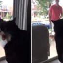 마! 주인 이미지