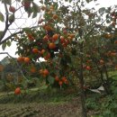 대곡마을회관 이미지