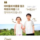 돼지농장 | 국내산 돼지감자 100%! 태양별농장 돼지감자차 후기🤍🫧