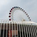 속초항갯배 이미지