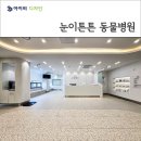 튼튼동물치과병원 이미지