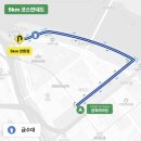 공원 | 서울 지구런 마라톤 대회 여의도공원 후기