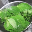 김치랑밑반찬 이미지