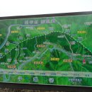 수지면 양촌마을 이미지