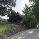 홍성떡방앗간 이미지