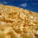 전남제재소 이미지