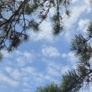 위크엔더스 이미지