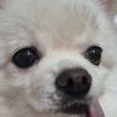 우리메디컬빌딩(번영회) | 주저리주저리 시시콜콜한 결혼식 후기👰🏻‍♀️🤍🤵🏻