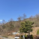 카페좌구산 다나우토바 이미지