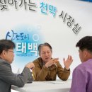 태백시장 머니투데이