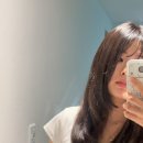 78번길미용실 | 창원 중동 미용실 추천 레이어드 c컬펌 후기 78번길미용실