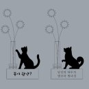 멍뭉냥냥