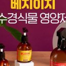 에코 플랜테리어 수경재배 이미지