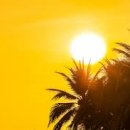 신갈한의원 이미지