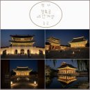 박금선국악예술단 | [서울 행사] 2026 경복궁 야간관람 예약 총정리 (교태전 아미산까지 개방되는 서울 야경 명소)