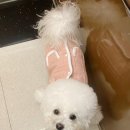 홍또네일 수영점