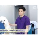 원흥동물의료센터 이미지