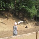 산양농장 이미지