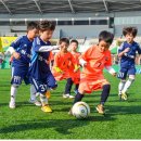 올림픽공원 인조잔디축구장 이미지