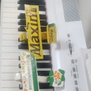 영롱한비행기