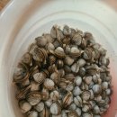 고센 펜션 이미지