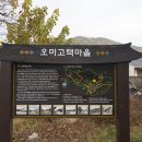 퇴계로(삼산동) 이미지