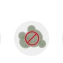 스카이-힐 이미지