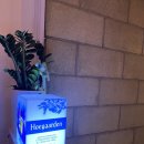 신설원맥주 이미지