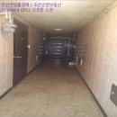 고등동 소로3 이미지