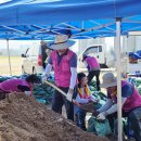 시민·기업이 삽 들었다! 제천종합자원봉사센터·기업연합봉사단, 땀의 봉사로 모래주머니 5,000개 제작 이미지