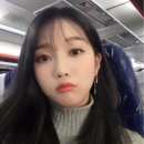 송이헤어샵 네이버블로그