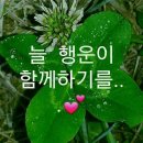 룸메이트 이미지
